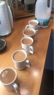 37007518_10217706313398738_8417485667881189376_n